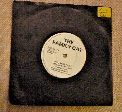 The family cat - family, steamroller